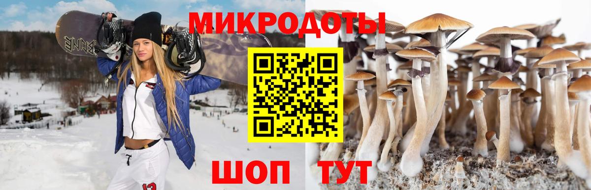 Галлюциногенные грибы Cubensis  Вход с VPN  Ижевск  Галлюциногенные грибы Magic Shrooms 