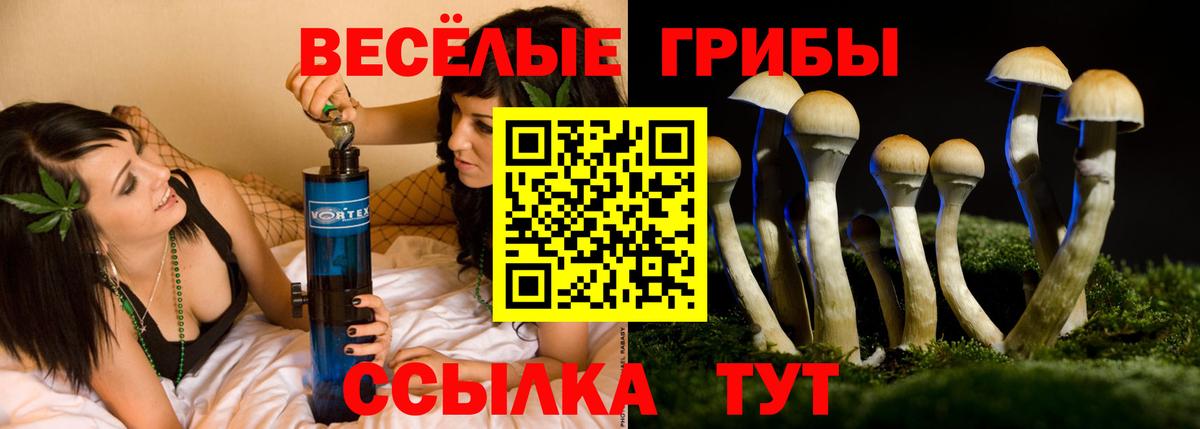 Псилоцибиновые грибы ЛСД Ижевск